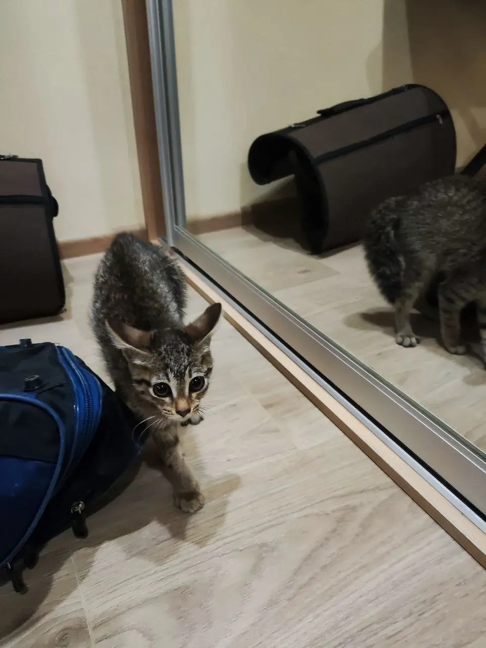 Было и стало