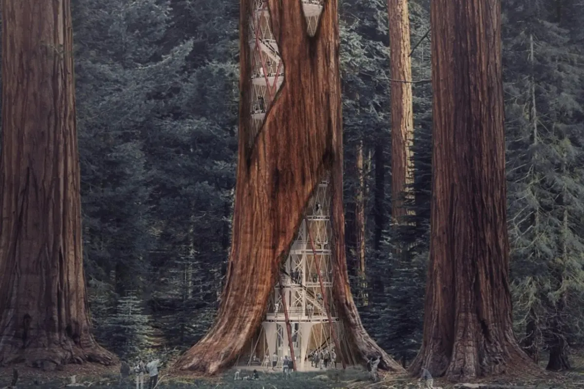 В природе все мудро продумано и устроено, всяк должен заниматься своим делом, и в этой мудрости — высшая справедливость жизни. - Леонардо да Винчи