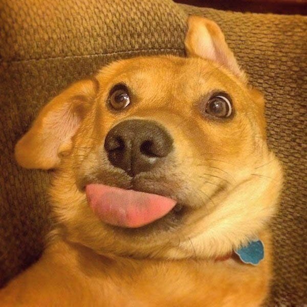 Разнофоточное