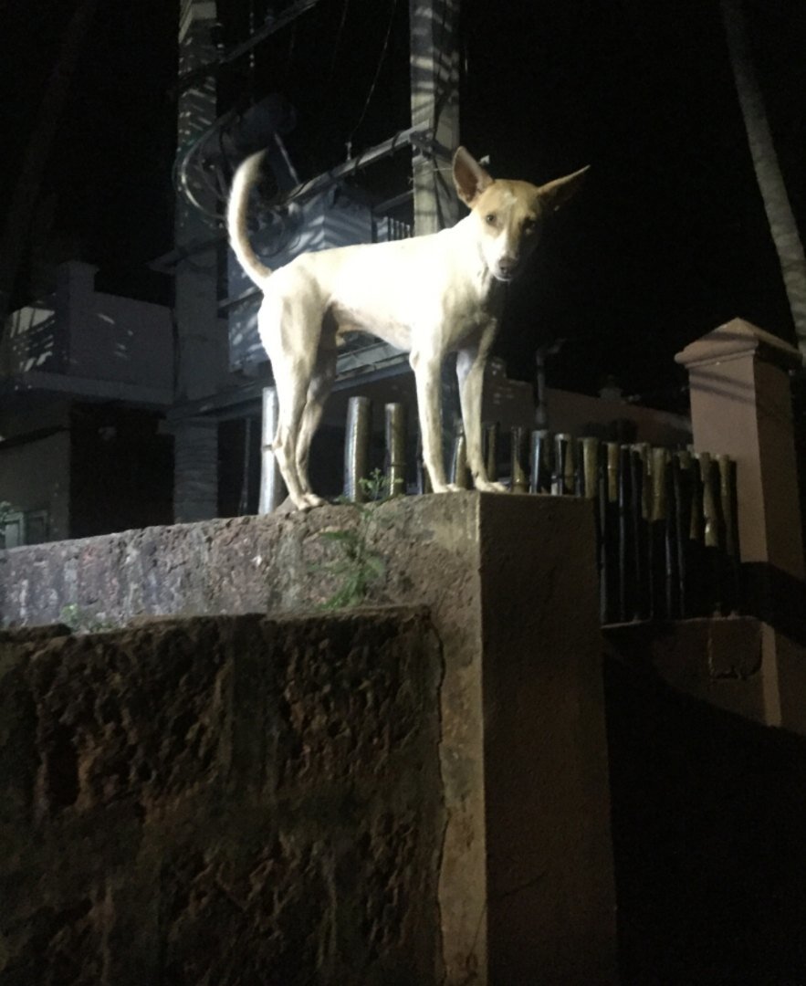 Хороший мальчик